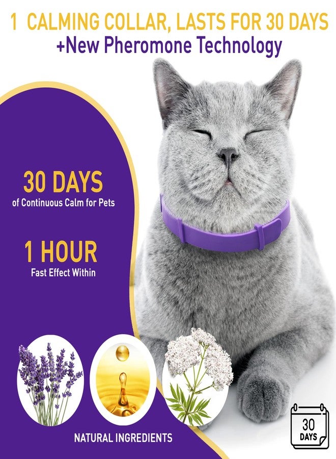 PetAtlas مجموعة بيت أطلس من 4 أطواق مهدئة للقطط - طوق مهدئ للقطط بالفيرومونات لتخفيف القلق والتوتر - أطواق مهدئة قابلة للتعديل ومقاومة للماء وقابلة للفك السريع، مكونات طبيعية من الفيرومونات، تأثير سريع - Image 4