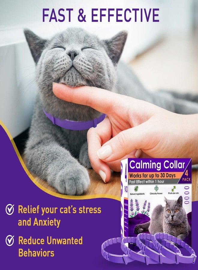 PetAtlas مجموعة بيت أطلس من 4 أطواق مهدئة للقطط - طوق مهدئ للقطط بالفيرومونات لتخفيف القلق والتوتر - أطواق مهدئة قابلة للتعديل ومقاومة للماء وقابلة للفك السريع، مكونات طبيعية من الفيرومونات، تأثير سريع - Image 2