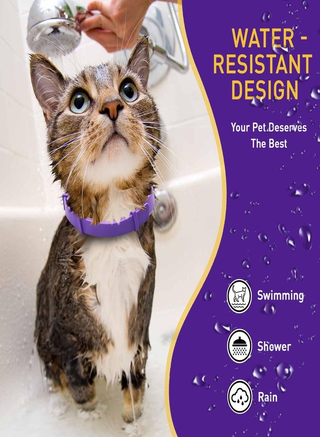 PetAtlas مجموعة بيت أطلس من 4 أطواق مهدئة للقطط - طوق مهدئ للقطط بالفيرومونات لتخفيف القلق والتوتر - أطواق مهدئة قابلة للتعديل ومقاومة للماء وقابلة للفك السريع، مكونات طبيعية من الفيرومونات، تأثير سريع - Image 5