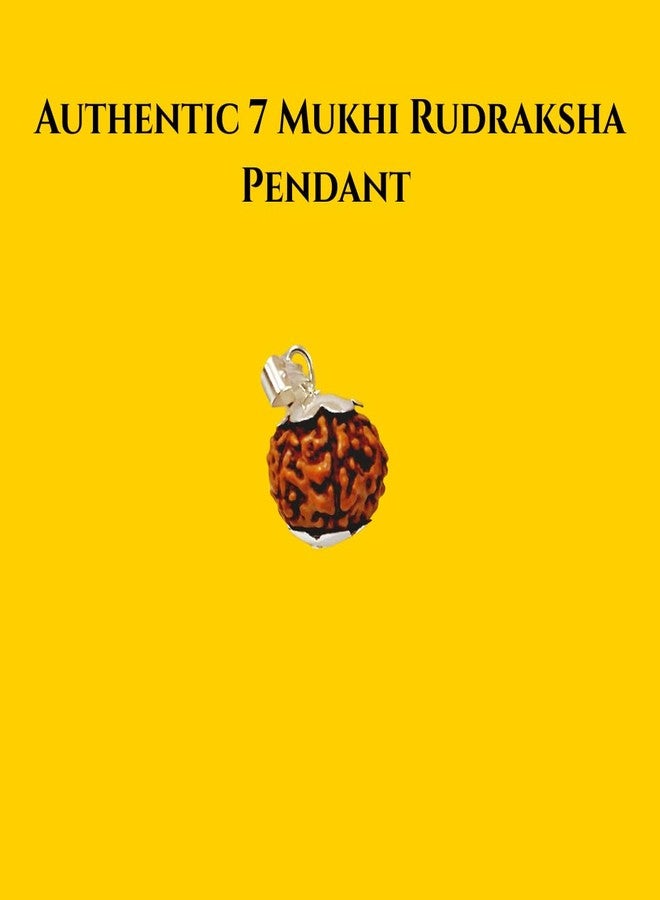 PICCOTI Original 7 Mukhi Nepali Rudraksha Locket | Rudraksha Locket with Silver Plated Caps for Godess Laxmi Blessings | 7 mukhi/faces - Image 2