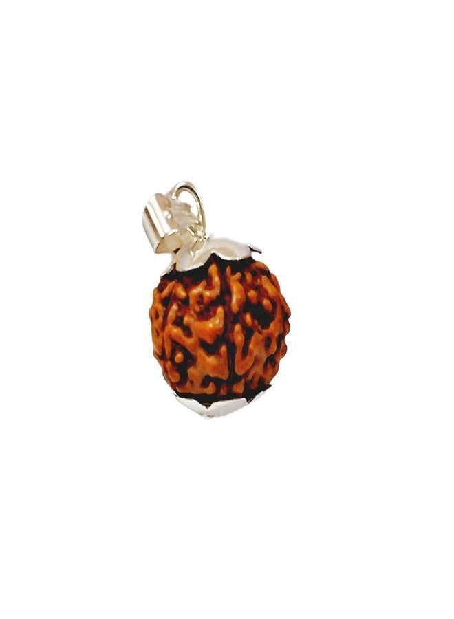 PICCOTI Original 7 Mukhi Nepali Rudraksha Locket | Rudraksha Locket with Silver Plated Caps for Godess Laxmi Blessings | 7 mukhi/faces - Image 1