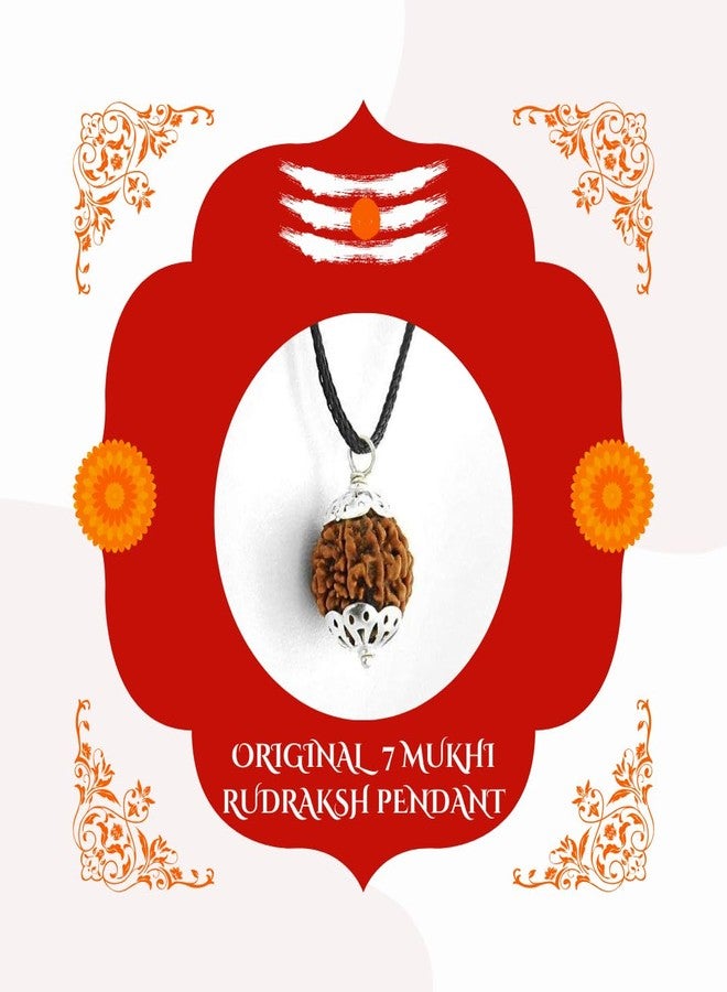 PICCOTI Original 7 Mukhi Nepali Rudraksha Locket | Rudraksha Locket with Silver Plated Caps for Godess Laxmi Blessings | 7 mukhi/faces - Image 4