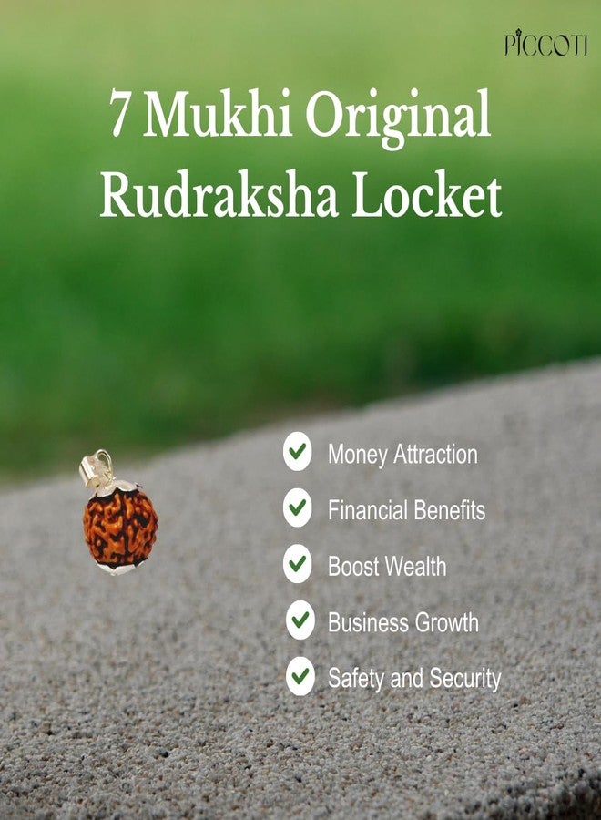 PICCOTI Original 7 Mukhi Nepali Rudraksha Locket | Rudraksha Locket with Silver Plated Caps for Godess Laxmi Blessings | 7 mukhi/faces - Image 3