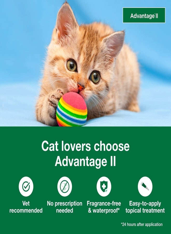 Advantage II Kitten Vet-Recommended Flea Treatment & Prevention | Cats 2-5 lbs. | 2-Month Supply - Image 3