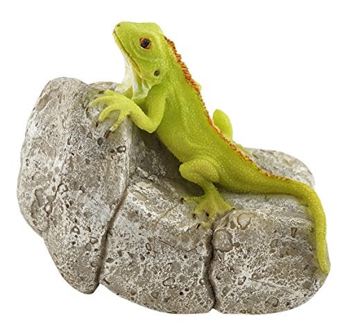 Top Collection Miniature Fairy Garden and Terrarium Iguana on Rock Statue - Image 1