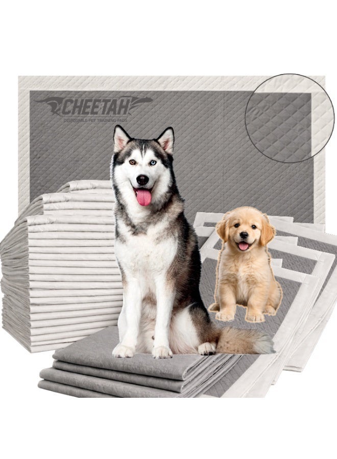 CHEETAH Disposable Pet Training Pads / Puppy Pads / Pee Pads – Activated Charcoal 6-Layer 100% Leak-Proof, Ultra-Absorbent, Tear-Resistant, Odor Control, Quick-Dry, No Paw Tracking, Grey Color, Available in S (35x45), M (45x60), L (60x60), XL(60x90) - Image 1