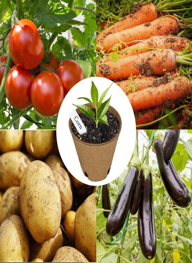 Napia Peat Pots Seed Starter Pots 45 Pack 3.15 inch Peat Pots for Seedlings Biodegradable Seed Starter Pots with 30pcs Plant Labels, Seedling Pots Starter Pots for Planting Seeds with Drainage Holes - Image 5