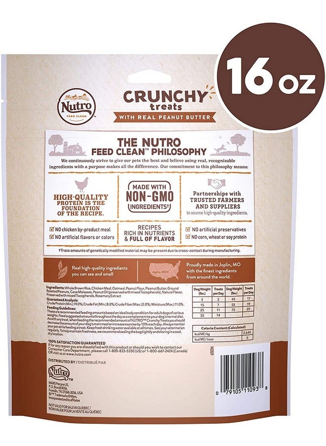 2 Pack 100% Natural Crunchy Peanut Butter Treats 16 Oz Each =32Oz - pzsku/Z26735DB5C231EBC60013Z/45/_/1726218770/62140e19-e18a-4e38-ad14-ecec555263b6