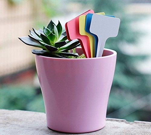 KINGLAKE Plant Labels,100 Pcs Multicolor Waterproof Plastic Plant Tags T-Type Nursery Garden Labels 6 x10cm,5 Colors - Image 5