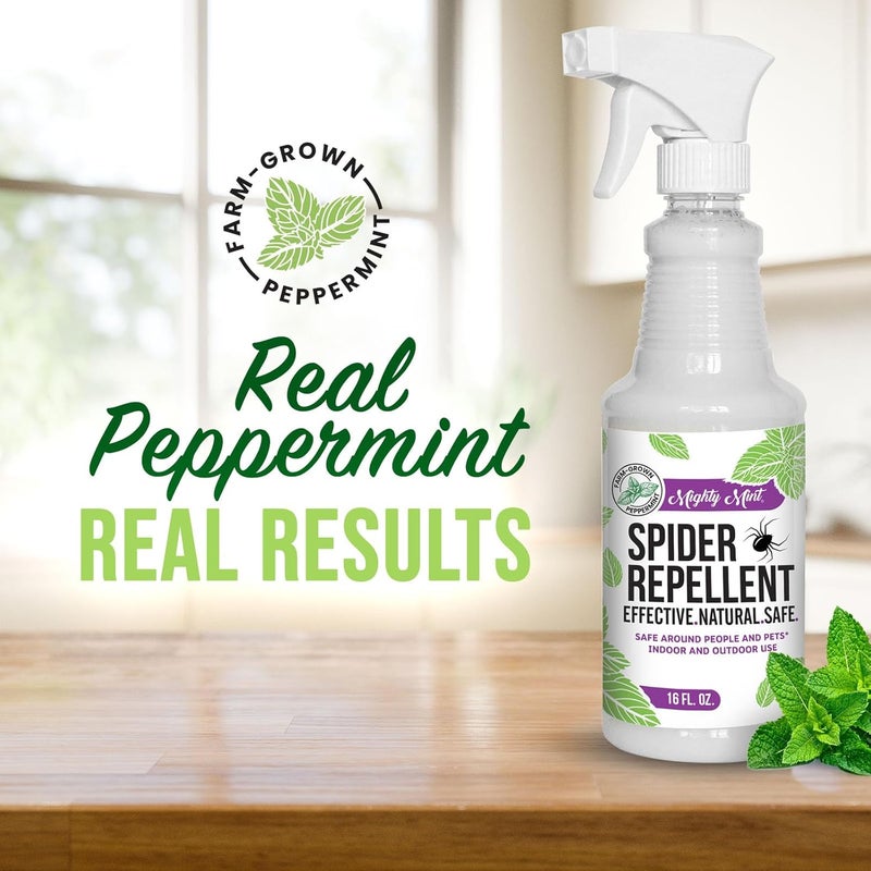 Mighty Mint - 16oz Spider Repellent Peppermint Oil - Natural Spray for Spiders and Insects - Killer + Deterrent - Image 2