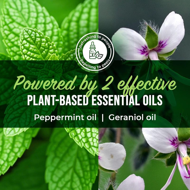Mighty Mint - 16oz Spider Repellent Peppermint Oil - Natural Spray for Spiders and Insects - Killer + Deterrent - Image 4