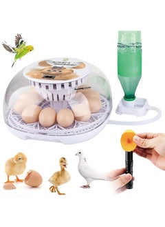 12 Egg Incubator