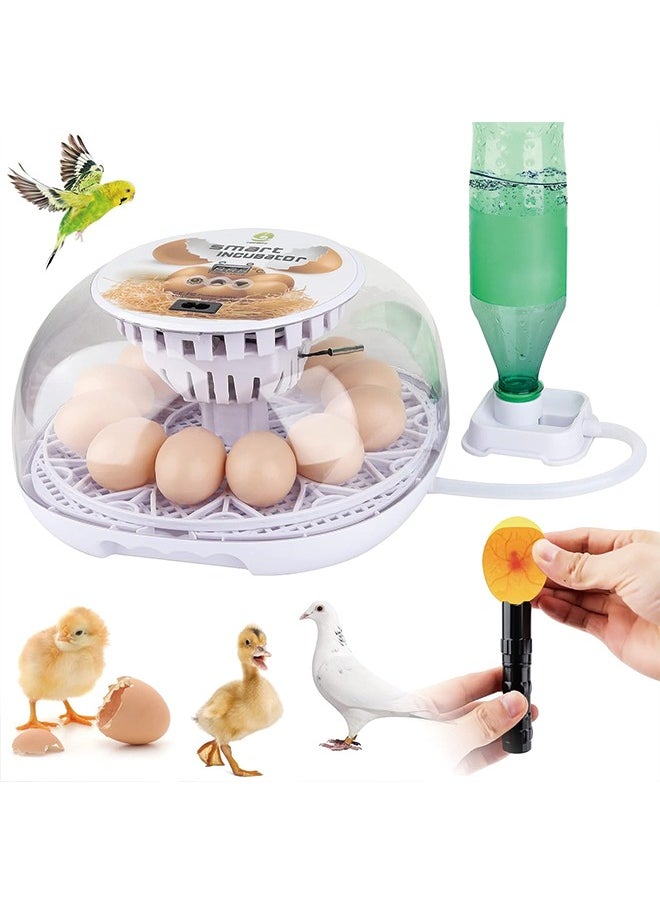 Generic - Egg Incubator incubators for Hatching Eggs: Chicken Quail Duck Bird Chick Incubator kit with Automatic Egg Turner,Nurture Right 360 Incubator hatcher for Turkey Parrot Goose 12-24 Egg - Image 1