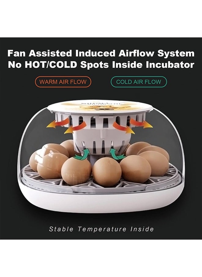 Generic - Egg Incubator incubators for Hatching Eggs: Chicken Quail Duck Bird Chick Incubator kit with Automatic Egg Turner,Nurture Right 360 Incubator hatcher for Turkey Parrot Goose 12-24 Egg - Image 1
