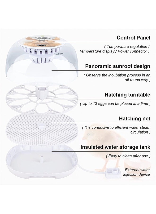 Generic - Egg Incubator incubators for Hatching Eggs: Chicken Quail Duck Bird Chick Incubator kit with Automatic Egg Turner,Nurture Right 360 Incubator hatcher for Turkey Parrot Goose 12-24 Egg - Image 1