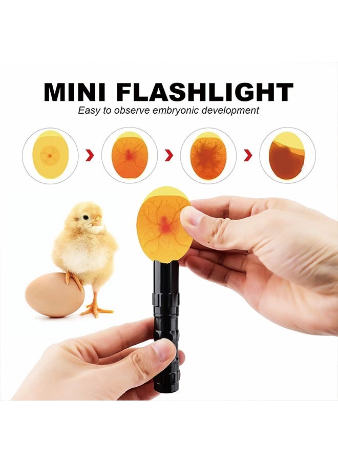 Generic - Egg Incubator incubators for Hatching Eggs: Chicken Quail Duck Bird Chick Incubator kit with Automatic Egg Turner,Nurture Right 360 Incubator hatcher for Turkey Parrot Goose 12-24 Egg - Image 1