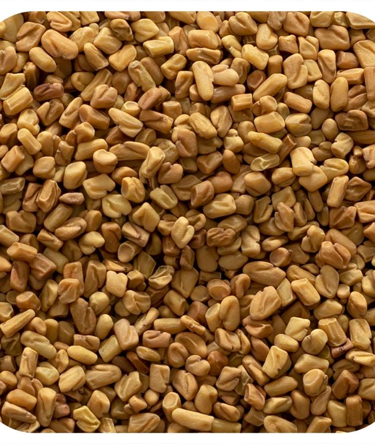 Organic Whole Fenugreek Seed 16 oz (453 g)