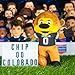 Bleacher Creatures Colorado Buffaloes Chip The Buffalo 10 Mascot Plush Figures A Mascot for Play or Display - Image 4