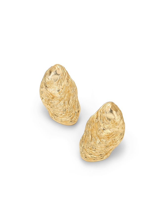 PAVOI 14K Yellow Gold Plated Chunky Sea Shell Earrings for Women - Statement Coastal Seashell Stud Earrings - Trendy Beach Geometric Ridge Studs Summer Jewelry - Image 3