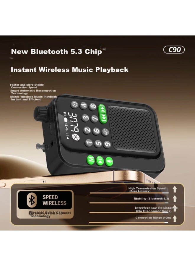 Nintaus C90 Elderly Radio, Card-insertable Speaker For Seniors, Portable Mini Audio Player, Music Player With Card Slot, Personal Listening Device, News And Semiconductor Radio For Storytelling - Image 2