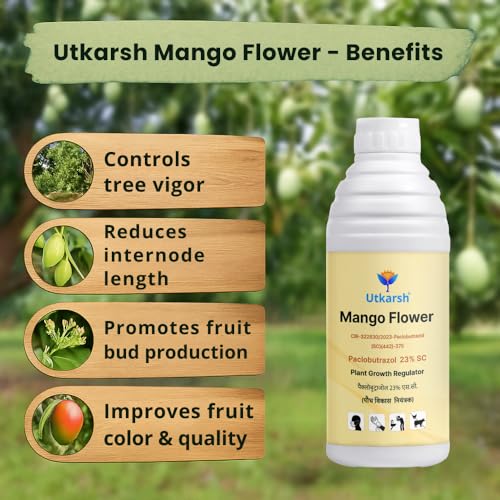 Utkarsh Mango Flower - Paclobutrazol 23% SC, Plant Growth Regulator | Enhances Flowering, Controls Shoot Growth & Improves Fruit Size & Quality | 100 ml; Pack of 1 - Image 2
