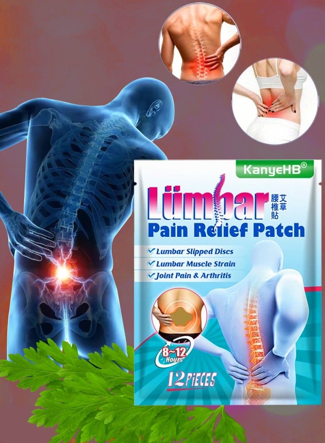 KanyeHB 12Pcs Lumbar Pain Relief Patch Joint Pain Relieving Patches for Lumbar Vertebra 8 to 12 hour Strength Pain Relief Patch for Back Pain Herbal Patches for Lumber Muscle Strain  - Image 1