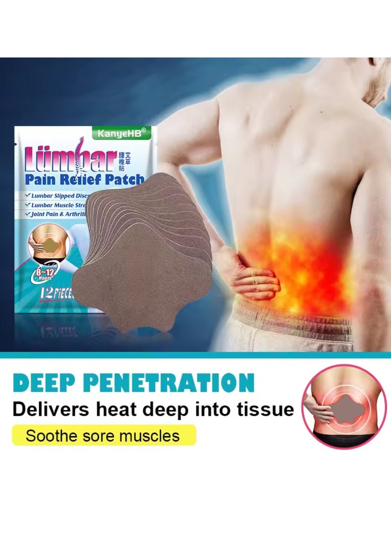 KanyeHB 12Pcs Lumbar Pain Relief Patch Joint Pain Relieving Patches for Lumbar Vertebra 8 to 12 hour Strength Pain Relief Patch for Back Pain Herbal Patches for Lumber Muscle Strain  - Image 2