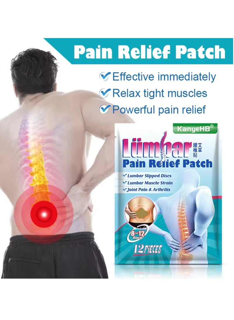 KanyeHB 12Pcs Lumbar Pain Relief Patch Joint Pain Relieving Patches for Lumbar Vertebra 8 to 12 hour Strength Pain Relief Patch for Back Pain Herbal Patches for Lumber Muscle Strain  - Image 4