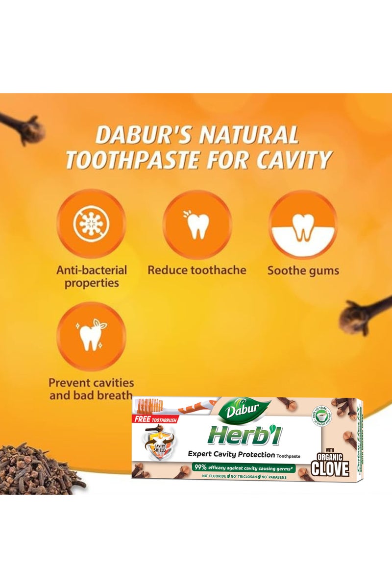 Dabur معجون أسنان عشبي لحماية التجاويف بالقرنفل - عبوة قيمة - Image 4