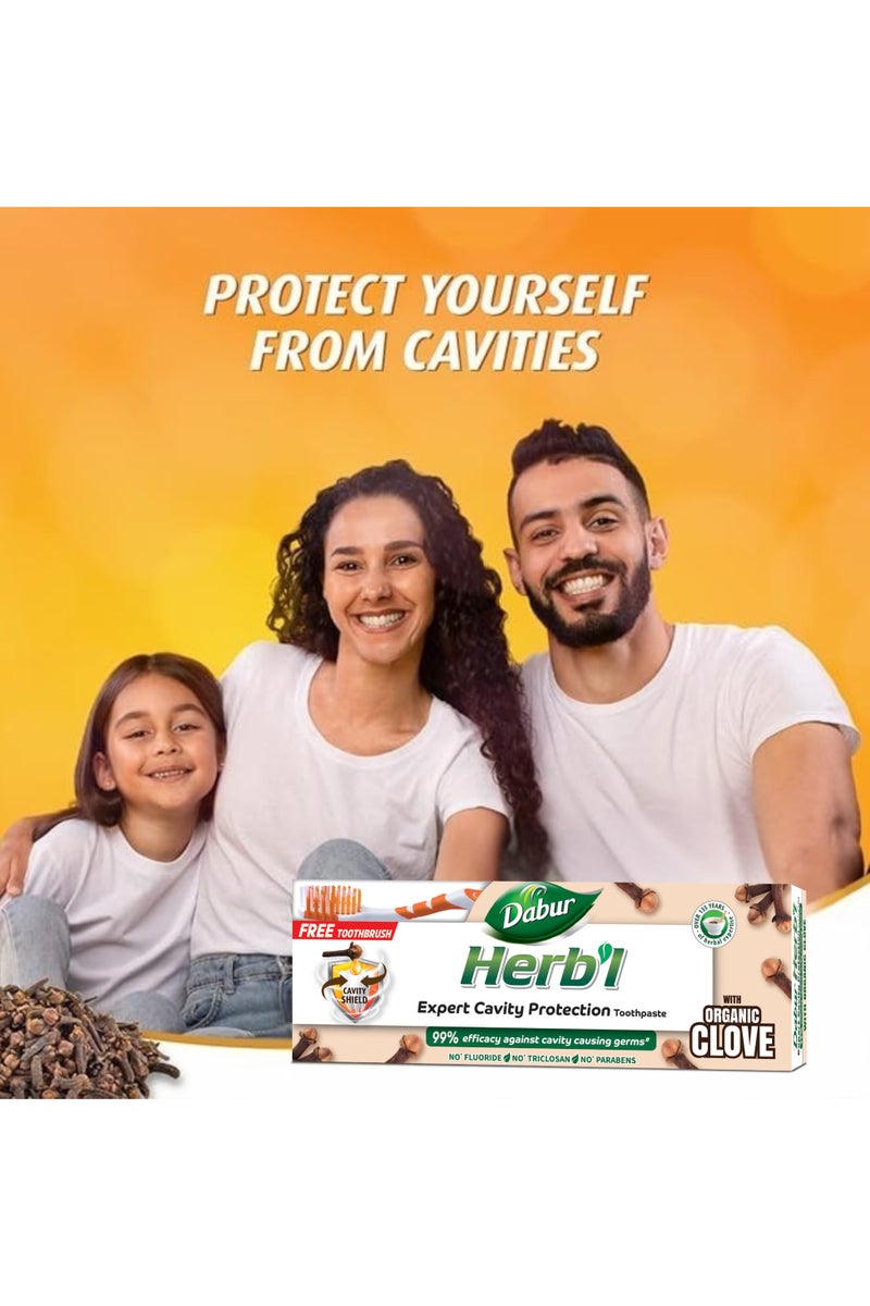 Dabur معجون أسنان عشبي لحماية التجاويف بالقرنفل - عبوة قيمة - Image 3