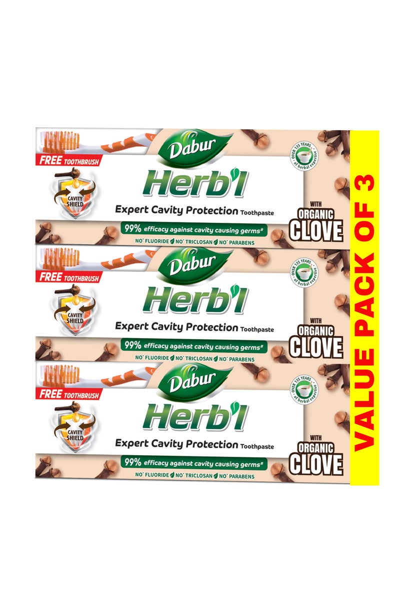 Dabur معجون أسنان عشبي لحماية التجاويف بالقرنفل - عبوة قيمة - Image 1