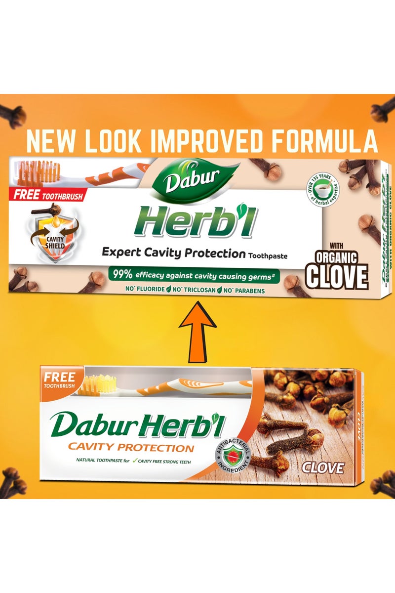 Dabur معجون أسنان عشبي لحماية التجاويف بالقرنفل - عبوة قيمة - Image 2