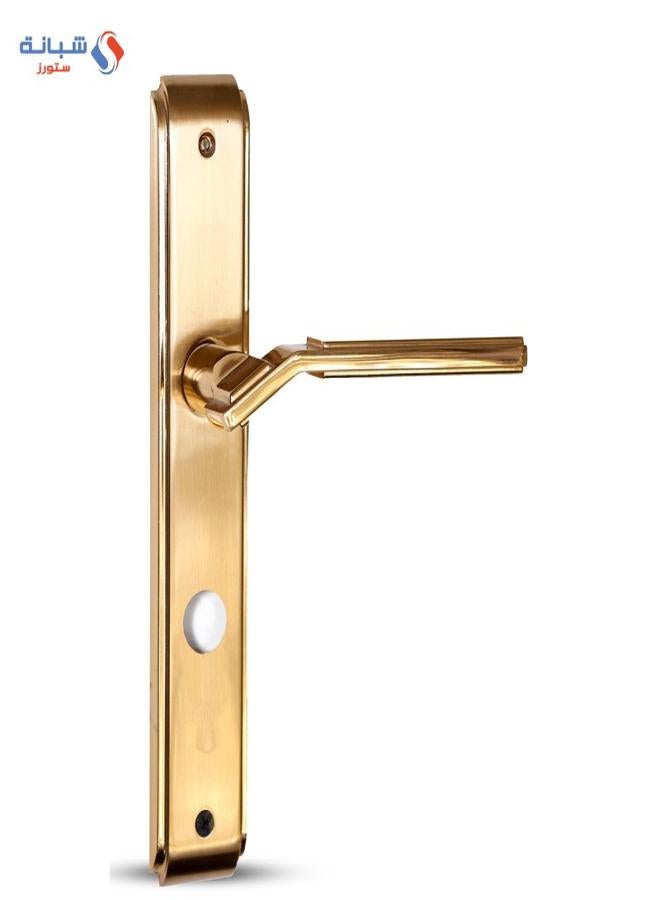 Doganlar Doganlar Asus Turkish Bathroom Handle Set - Gold 