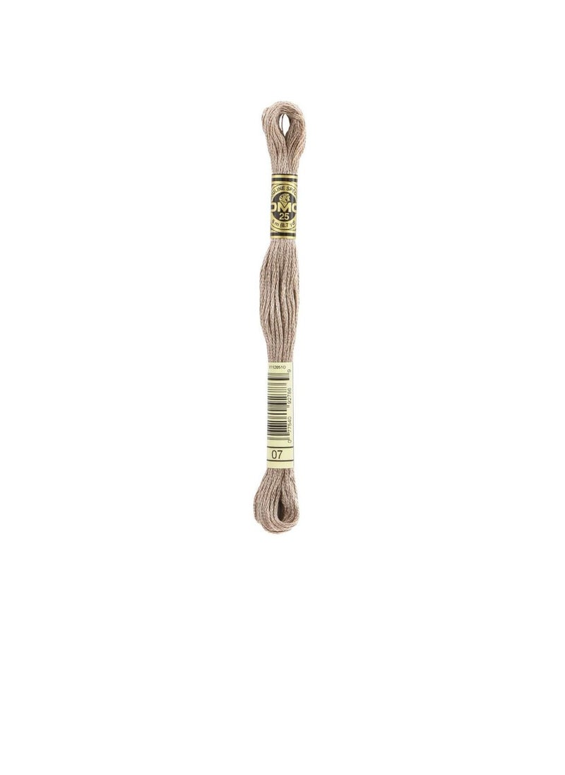 DMC DMC 6 Strand Embroidery Cotton 8.7yd Driftwood  - Image 1