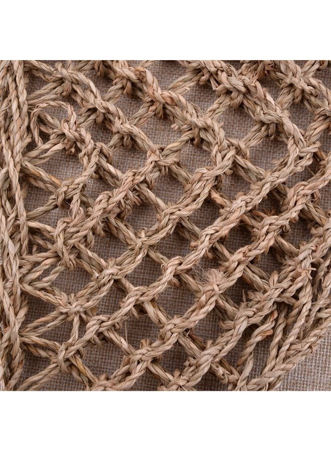 أرجوحة سحلية مثلثة طبيعية، أرجوحة التنين الملتحي، أرجوحة الزواحف، أعلى - Image 4