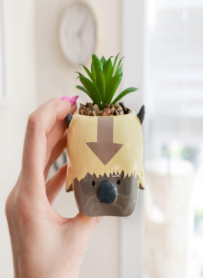 Silver Buffalo Avatar: The Last Airbender Appa 6-Inch Ceramic Planter with Artificial Succulent | Small Flower Pot, Faux Indoor Plant for Desk Shelf, Trinket Tray | Cute Home Decor, Anime Gifts and Collectibles - Image 3