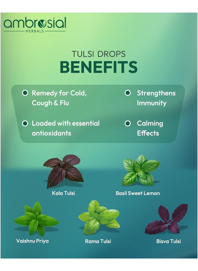 ambrosial - Tulsi Drops Concentrated Extract Of 5 Tulsi 30Ml- Pack Of 2-30Ml X2 - Image 1