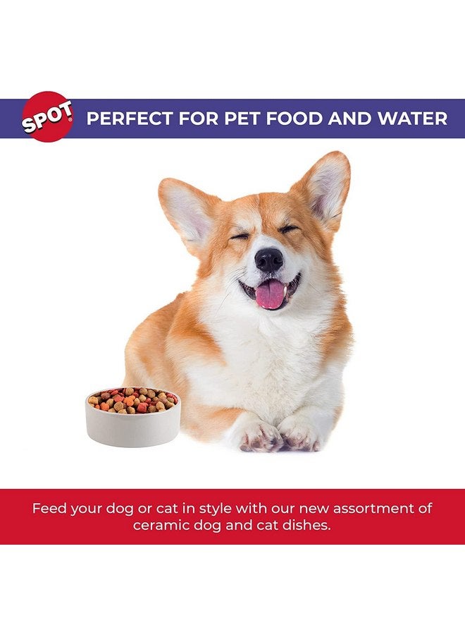 سبوت طبق القطط/الزواحف [مجموعة من 3] - Image 4