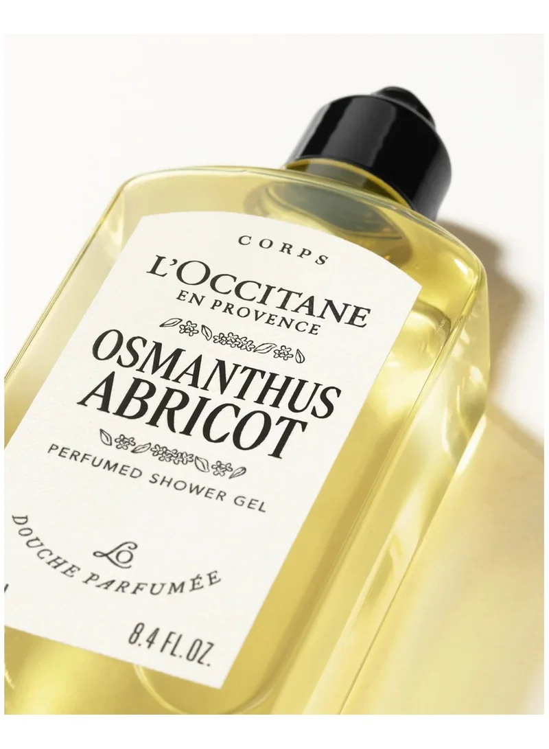 L'occitane Osmanthus Abricot Perfumed Shower Gel