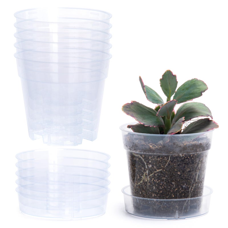 Phoenix Vine 4 Inch Clear Plastic Plant Pot with Drainage Holes, Interlocking & Detachable Tray - Deep Saucer - Durable BPA-Free Plastic, Transparent Design, Raised Base for Airflow, Set of 6, 92-X-A-2 - Image 1