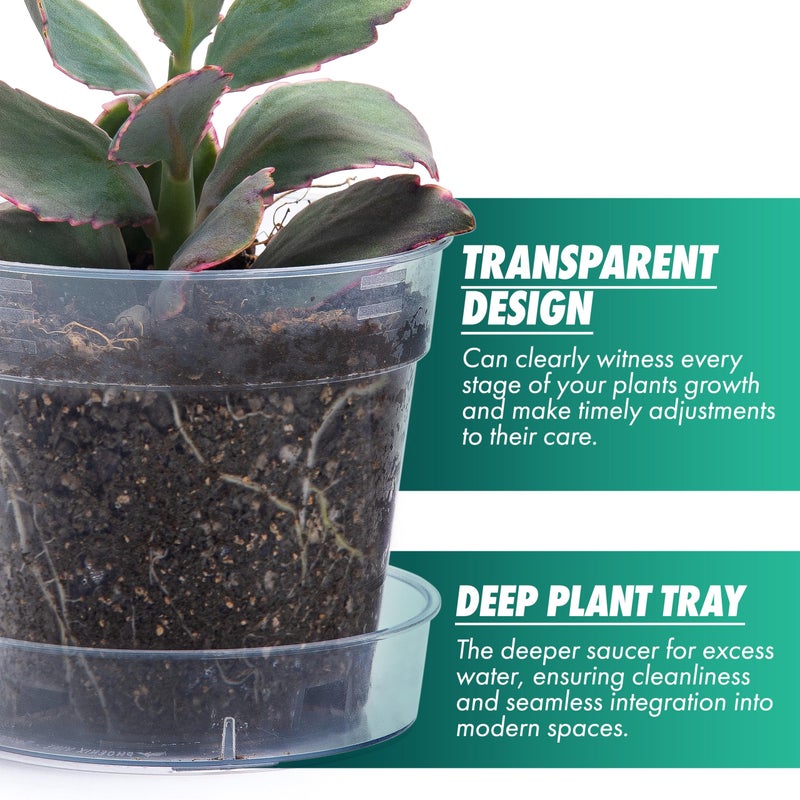Phoenix Vine 4 Inch Clear Plastic Plant Pot with Drainage Holes, Interlocking & Detachable Tray - Deep Saucer - Durable BPA-Free Plastic, Transparent Design, Raised Base for Airflow, Set of 6, 92-X-A-2 - Image 3