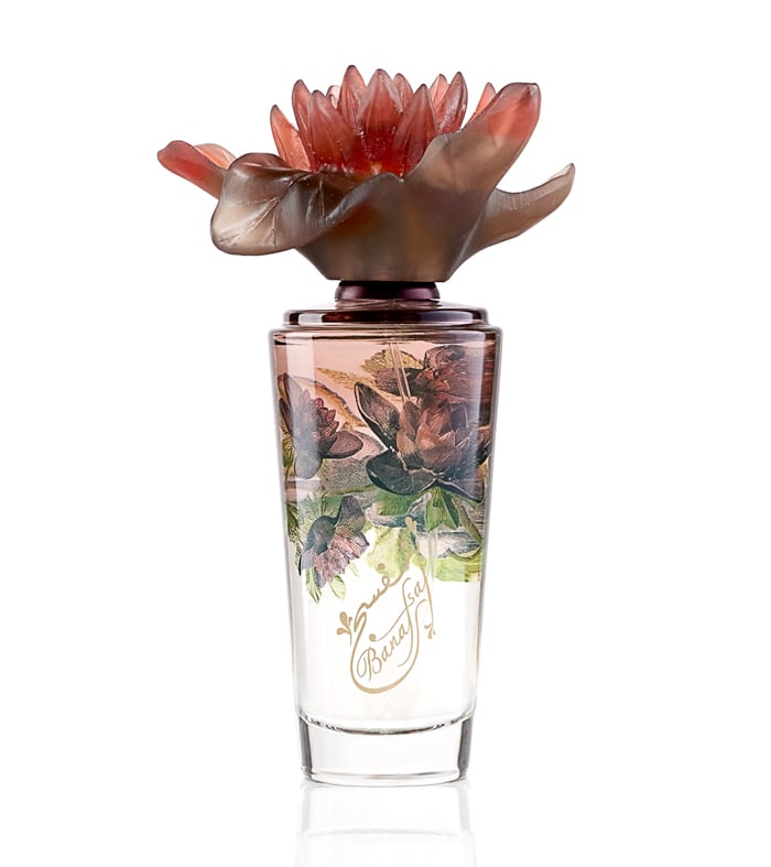 جنيد للعطور بنفسج نايت - نسائي - غربي - 100 مل