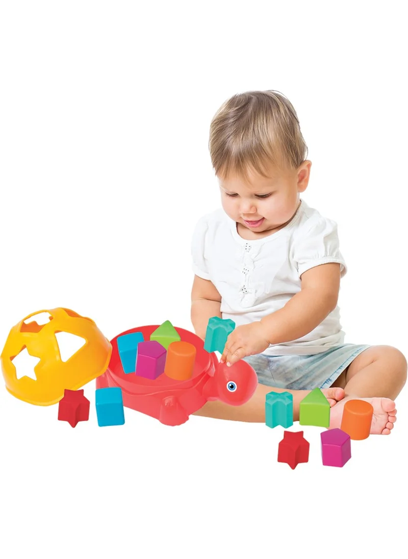 dede Toy Turtle Find and Install 12+ Months