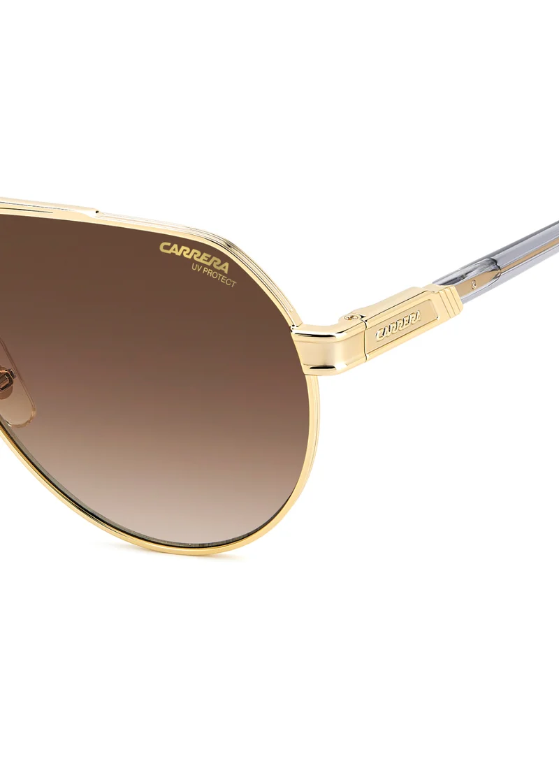 كاريرا PILOT CARRERA Sunglasses