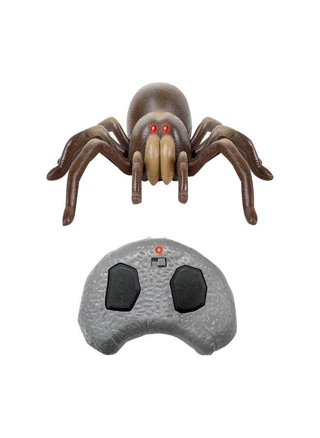 Discovery Rc Tarantula Spider Toy  - Image 1
