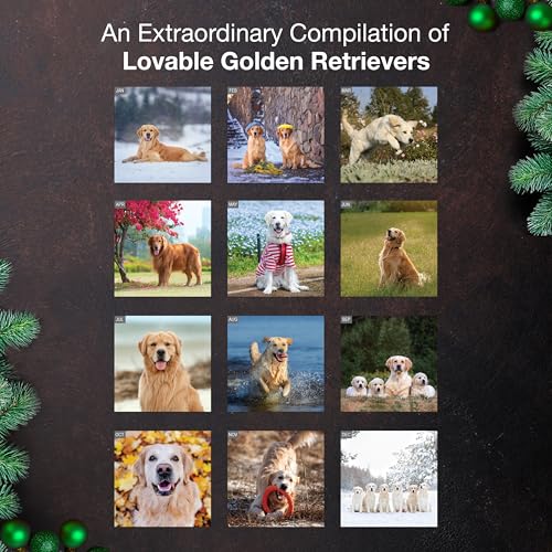 MICASA PRESS Golden Retrievers 2026 Wall Calendar 12 Month | 12" x 24" Open | Thick & Sturdy Paper | Giftable | Cute Puppy Dog Calendar 2026 - Image 3