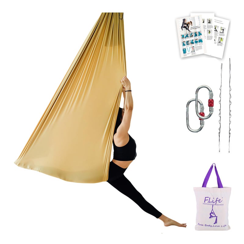 FLife Aerial Yoga Hammock 55 yards Premium Aerial Silk Fabric Swing for Antigravity Inversion Include Daisy ChainCarabiner and Pose Guide