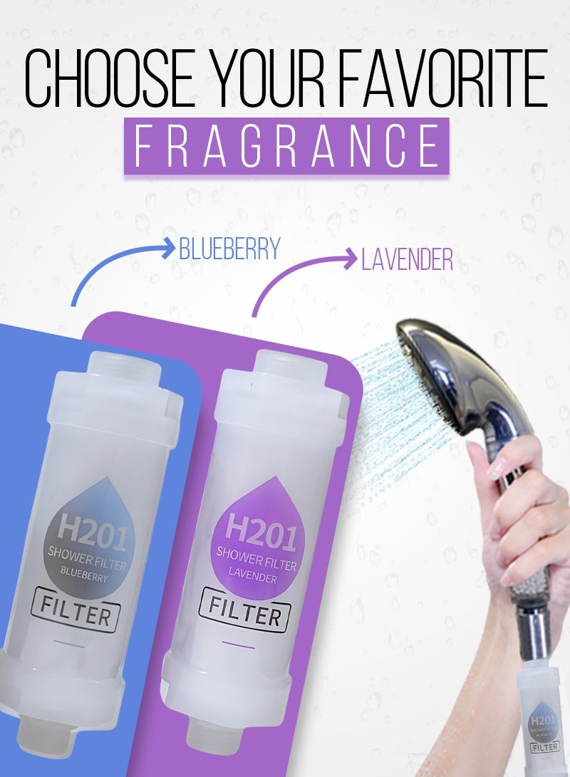 أيه بي جي إليك الوصف باللغة العربية للمنتج (2-عبوة فلتر دش فيتامين C / فلتر رأس الدش – خرطوشة منقّي المياه مع حبيبات العلاج العطري، منعم لمياه الاستحمام للعناية بالبشرة والشعر – لافندر + توت أزرق) - Image 2