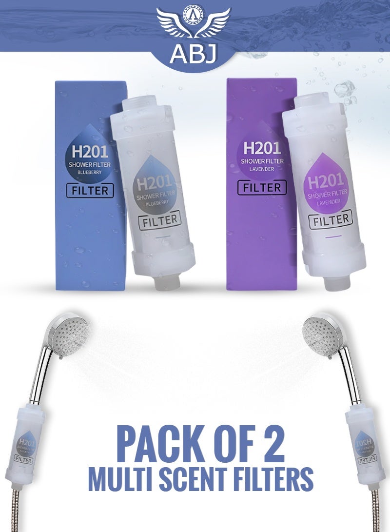 ABJ 2-Pack Vitamin C Shower Filter / Shower Head Filter – Water Purifier Cartridge with Aromatherapy Beads, Hard Water Softener for Skin & Hair Care (Lavender + Blueberries) - Image 1