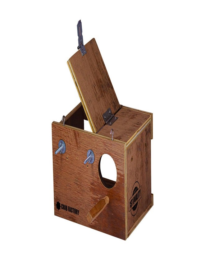 CRIB FACTORY CRIBFACTORY | WOOODEN BREEDING Box for Budgies | ONE Side Transparent | 10x7x7 INCH - Image 5